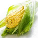 Gros plan détaillé d'une oreille fraîche de maïs avec des gouttelettes d'eau, présentant des grains jaunes vibrants et des coques vertes.