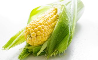 Gros plan détaillé d'une oreille fraîche de maïs avec des gouttelettes d'eau, présentant des grains jaunes vibrants et des coques vertes.