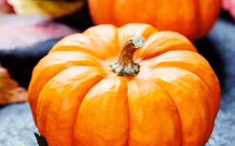 Studio Tiche d'une belle citrouille ornementale avec des feuilles d'automne sur fond rustique foncé