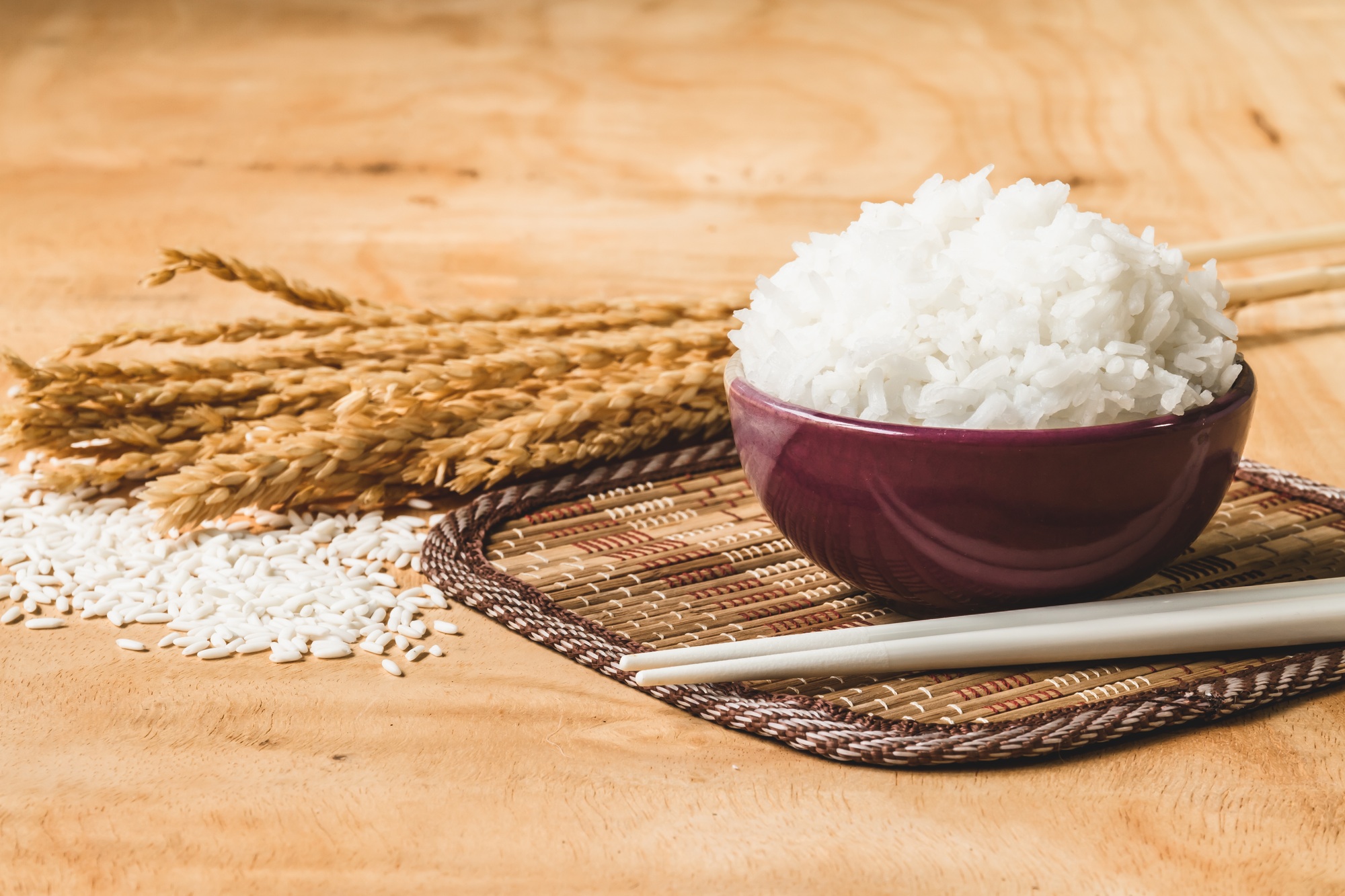 Riz cuit dans un bol avec un grain de riz cru et une plante de riz sec sur fond de table en bois.