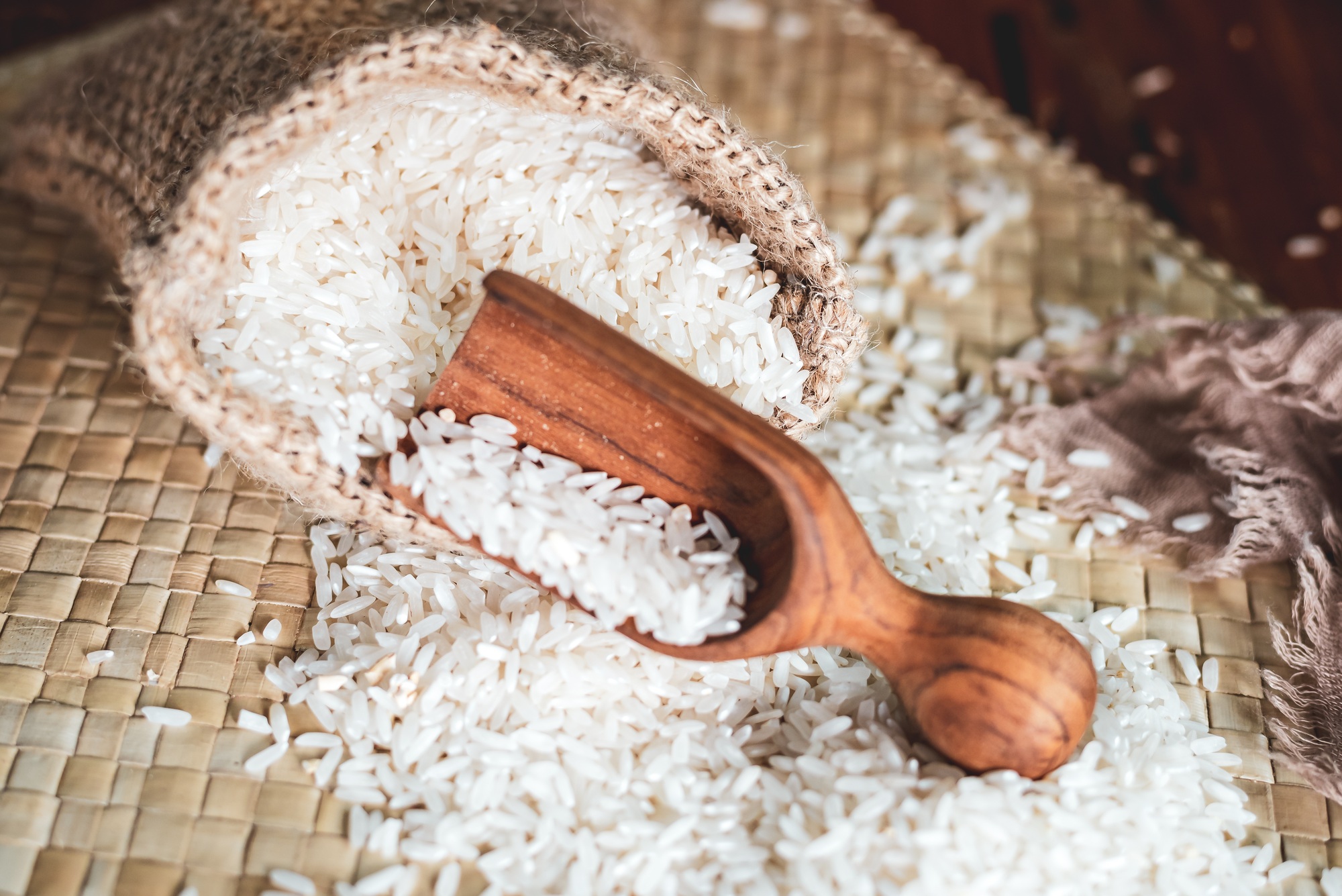 Vue rapprochée du riz asiatique