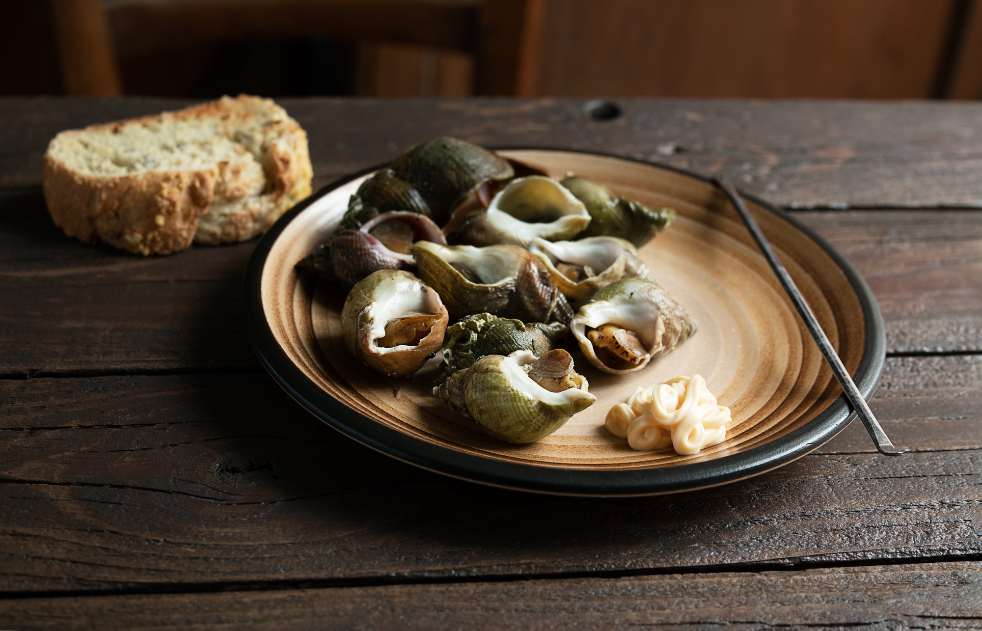 Bulots d'escargots de mer frais ou bacs communs bouillis avec des herbes dans une assiette et un morceau de pain sur une table en bois foncé